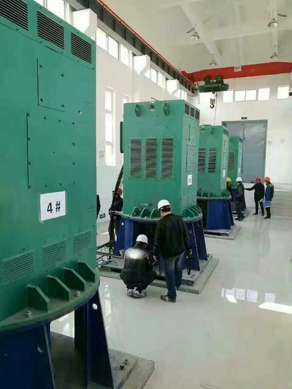 YKS5604-10某污水处理厂使用我厂的立式高压电机安装现场