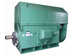 YKS5604-10Y系列6KV高压电机