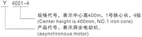 西安泰富西玛Y系列(H355-1000)高压YKS5604-10三相异步电机型号说明