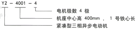 YR系列(H355-1000)高压YKS5604-10三相异步电机西安西玛电机型号说明